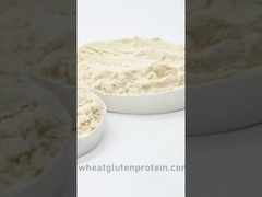 گلوتن حیاتی گندم، گلوتن گندم، گلوتن